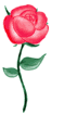 swrose.gif (4974 bytes)